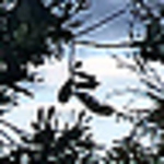 Profile Picture of Benjamin Lee (@undiscovered genius) on Flickr