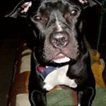 Profile Picture of Thomas Mischkewitz (@thomasmischkewitz) on Instagram