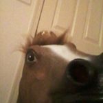 Profile Picture of andrew gillham (@sw4g4life7) on Instagram