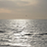 David Fildes - Flickr Profile Picture of David Fildes (@david w fildes) on Flickr