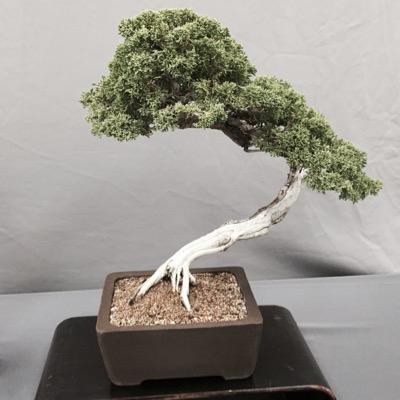 Profile Picture of Steven Koeller (@kingkoeller68) on Twitter