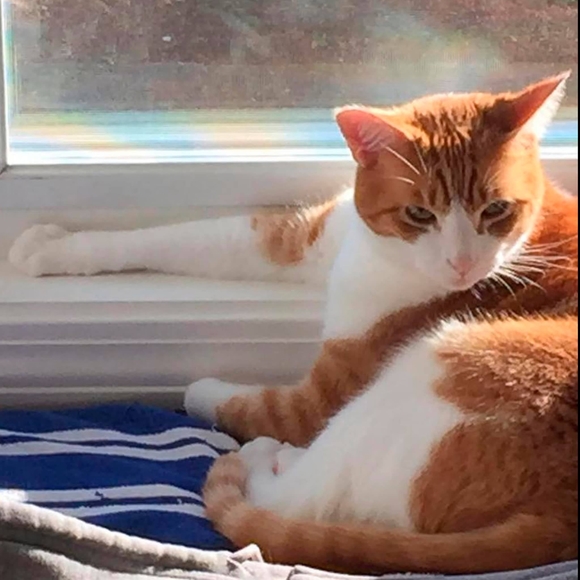 Profile Picture of Paula Arons (@pla) on Poshmark