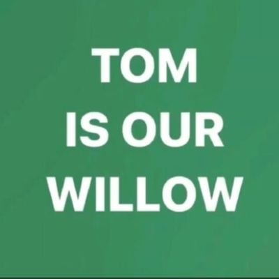 Profile Picture of Apoyo A Un Ser De Luz Llamado Tom  ❤️ (@ApoyoUn) on Twitter