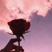 Profile Picture of Nancy Zhang (@nancyzhang3127) on Youtube