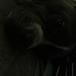 Joshua Jurado - Instagram Profile Picture of Joshua Jurado (@user422838401947481947) on Instagram