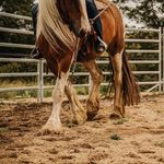 Profile Picture of Tarynne Edwards (@pepperwood_ambrosia) on Instagram