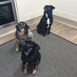 Profile Picture of Rachael Wiseman (@rachael.wiseman.10) on Instagram