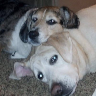 Profile Picture of Melanie Geballa (@melanie_geballa) on Twitter