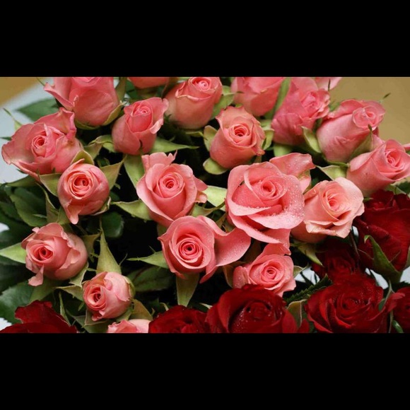 Profile Picture of Ruaa Ruaa (@ruaaruaa) on Poshmark