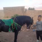 Adam Bertit - Facebook Profile Picture of Adam Bertit (@adam.bertit.2025) on Facebook