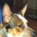 Profile Picture of Renee Tuttle (@renee.tuttle.5) on Facebook