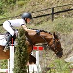 Profile Picture of || Amalia Alvarez Arriola || (@amaliaalvarez._) on Instagram