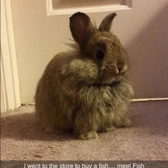 Profile Picture of James Clahane (@redbowl) on Poshmark