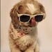 Profile Picture of Nancy VanHook (@nvanhook78) on Pinterest