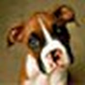 Profile Picture of Brett Grimes (@brettgrimes6382) on Youtube