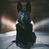 Profile Picture of Daniel Winchester (@@kameron_16.26) on Tiktok