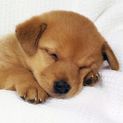 Profile Picture of Brett Gilbert (@brettgilbert5638) on Youtube