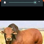 Profile Picture of Filoca Ernesto (@Filoca-Ernesto) on Facebook