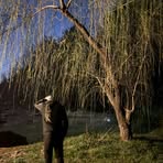 Profile Picture of Andrew Bacon (@andrew.bacon.3367) on Facebook