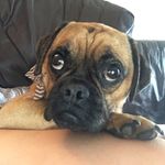 Profile Picture of Phillip Watson (@filthy.phil) on Instagram