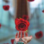 Profile Picture of Dəyərli_biri_ (@dyrli_biri_) on Instagram