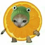 Profile Picture of Austin Weidman (@austin_weidmaan) on Instagram