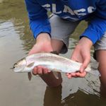 Profile Picture of Adam Renninger (@adam.renninger) on Instagram