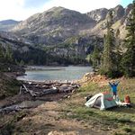 Corwin - Instagram Profile Picture of Corwin (@fantasticalkitty) on Instagram