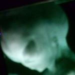 Profile Picture of Kevin Lillis (@criusgreer) on Instagram