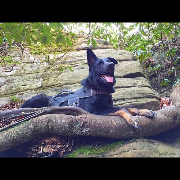 Profile Picture of Debby Triola (@debtriola) on Poshmark