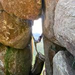 Profile Picture of Carly Lam (@carlylam) on Instagram