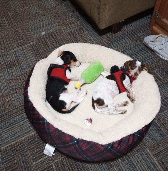 Profile Picture of Terry Phillips (@terryphillipsp) on Poshmark