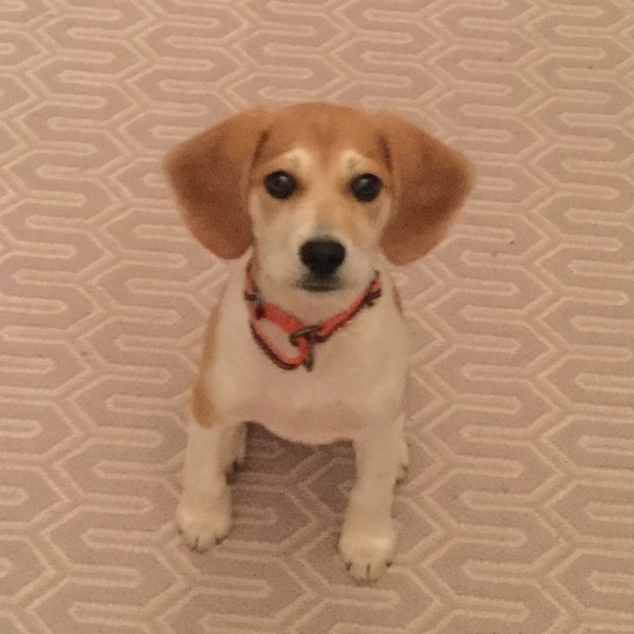 Profile Picture of Isabel Walker (@busyizzy12) on Poshmark