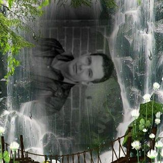 Profile Picture of Alvaro Viveros (@alvaro.veveros) on Facebook