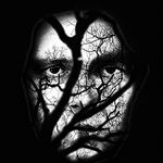 Profile Picture of Captain Nicholas Hofstra (@necrolandtv) on Instagram