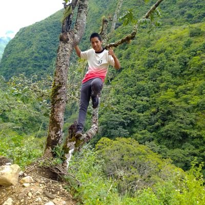 Profile Picture of Humberto Canchari Pichardo (@HumbertoCancha2) on Twitter