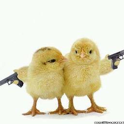 Profile Picture of Josh D (@Josh_Driscoll_) on Twitter