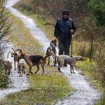 Profile Picture of John Linehan (@linehan61) on Instagram