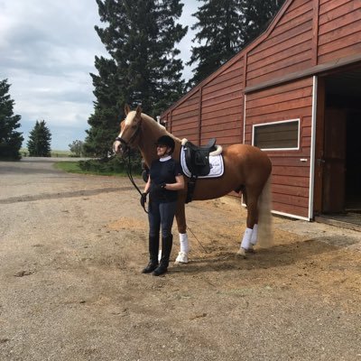 Profile Picture of FrancesTango (@tango_frances) on Twitter