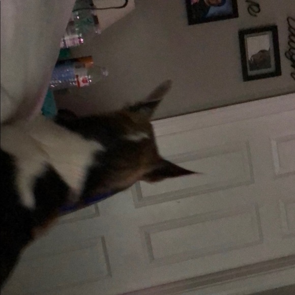 Profile Picture of Chris Cone (@chriswcone) on Poshmark