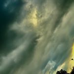 AnThOnY PoMA - Instagram Profile Picture of AnThOnY PoMA (@therealgoat221) on Instagram