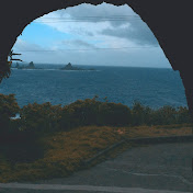 Profile Picture of Nancy Cheng (@34499858) on Youtube