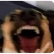 Profile Picture of Leo Townsend (@turbo1198) on Youtube