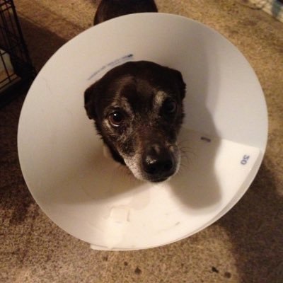 Profile Picture of Keith Spraggins (@keith_spraggins) on Twitter