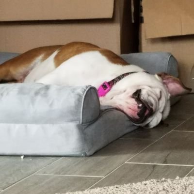 Profile Picture of Maureen Steele (@MarineWife52508) on Twitter