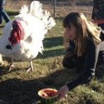 Profile Picture of Kim Flaherty (@vegankimberly) on Instagram