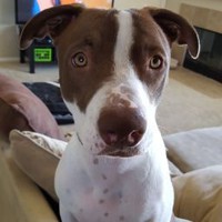 Profile Picture of Mark Rateau (@mark-rateau) on Quora