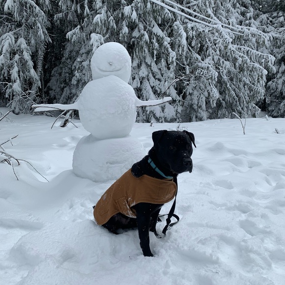 Profile Picture of Matthew Yantzer (@fantasicmrfox) on Poshmark