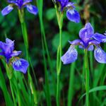 Profile Picture of Esther Yoo (@estheryoo5604) on Instagram