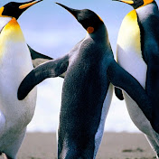 Profile Picture of Maya Lee (@mayalee9406) on Youtube